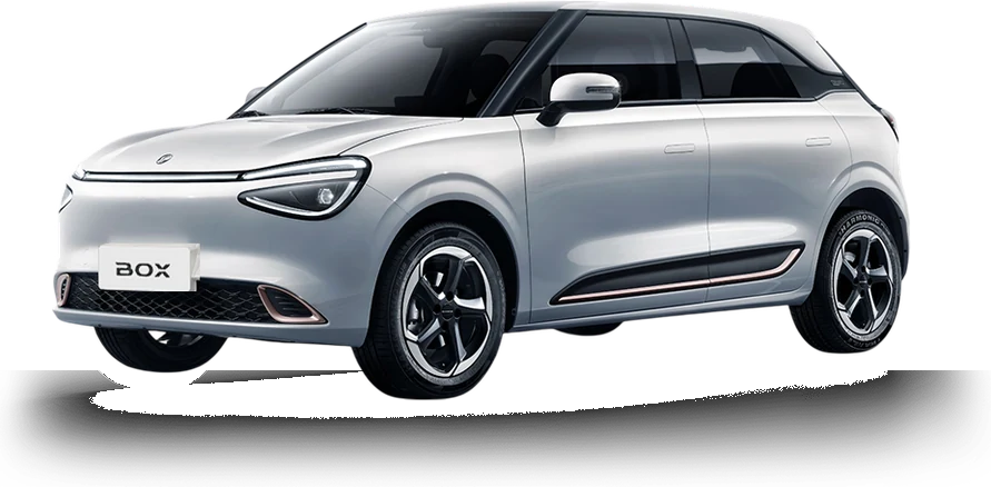 Dongfeng Box – Siva